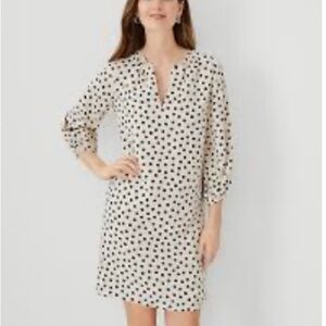 Ann Taylor Dot split neck Dress with Pockets